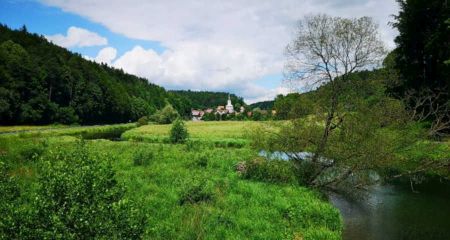 Bilder aus unserem Fliegenfischer Paradies an der Wiesent