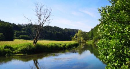 Bilder aus unserem Fliegenfischer Paradies an der Wiesent