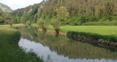 Bilder aus unserem Fliegenfischer Paradies an der Wiesent