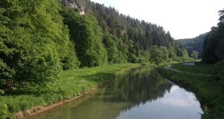 Bilder aus unserem Fliegenfischer Paradies an der Wiesent